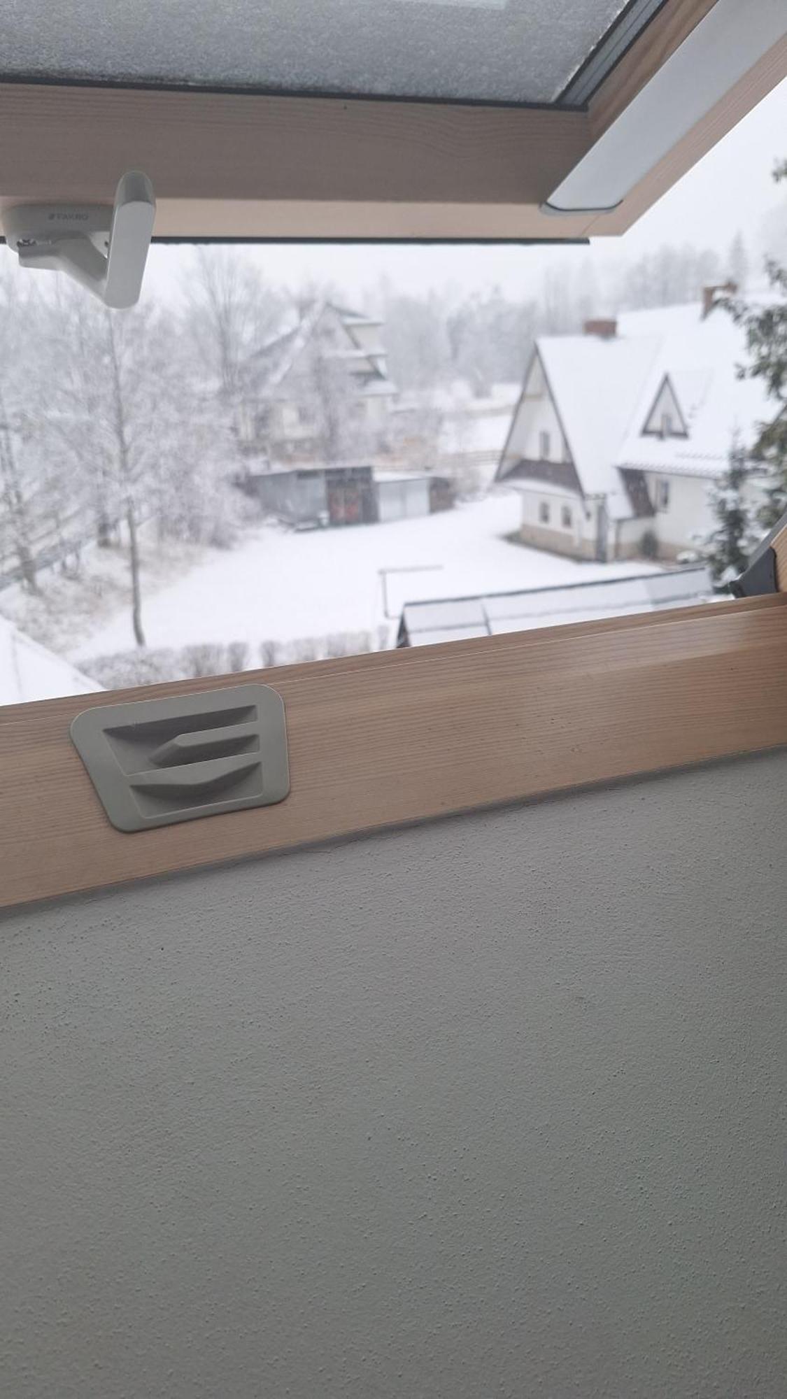 Willa U Kosle 2 Zakopane Exterior photo